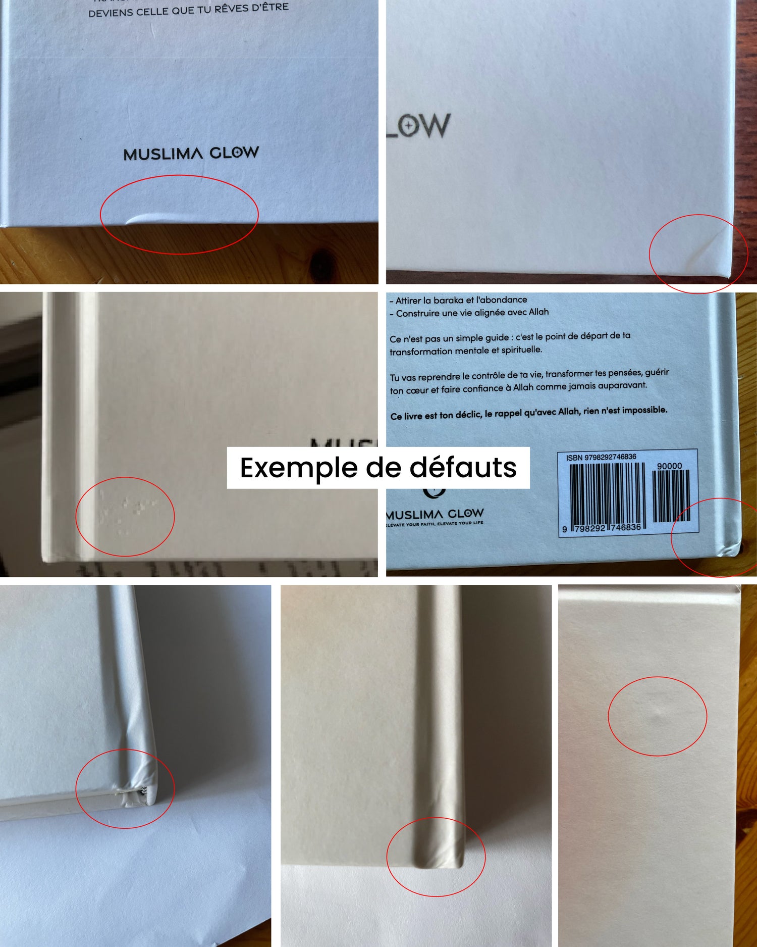 LIVRE LÉGÈREMENT ABIMÉ À L&